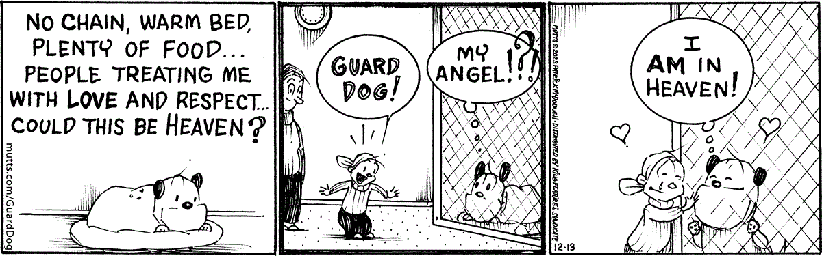 December 13 2023, Daily Comic Strip