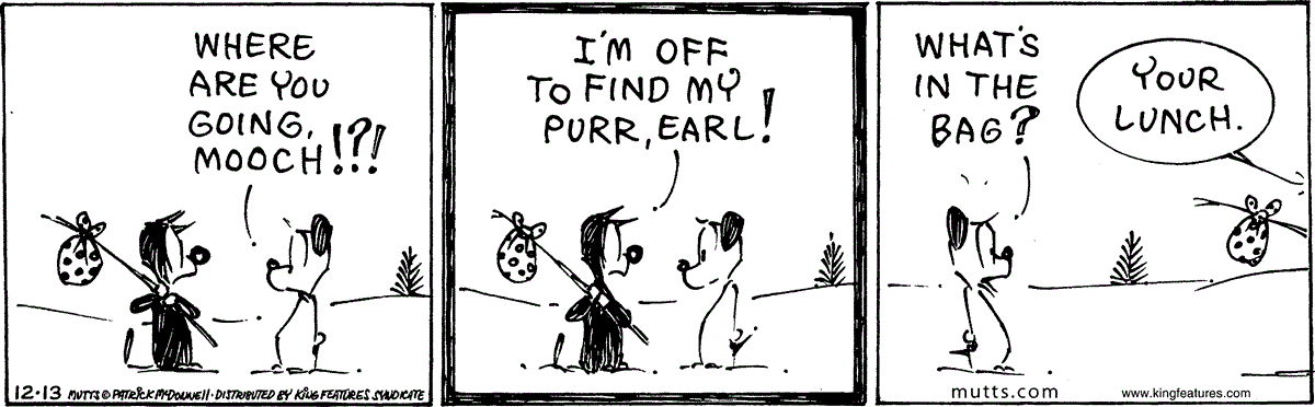 December 13 2024, Daily Comic Strip