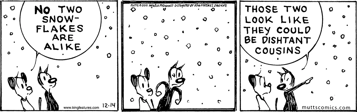 December 14 2010, Daily Comic Strip