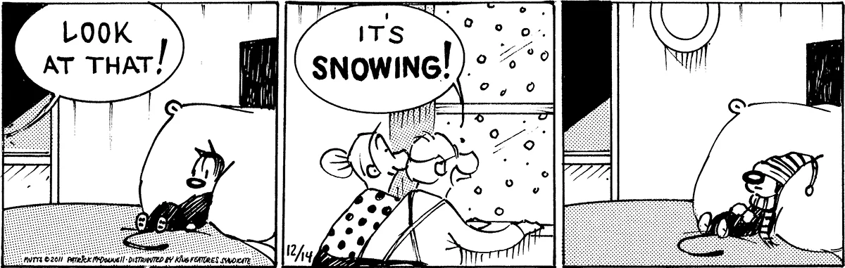 December 14 2011, Daily Comic Strip