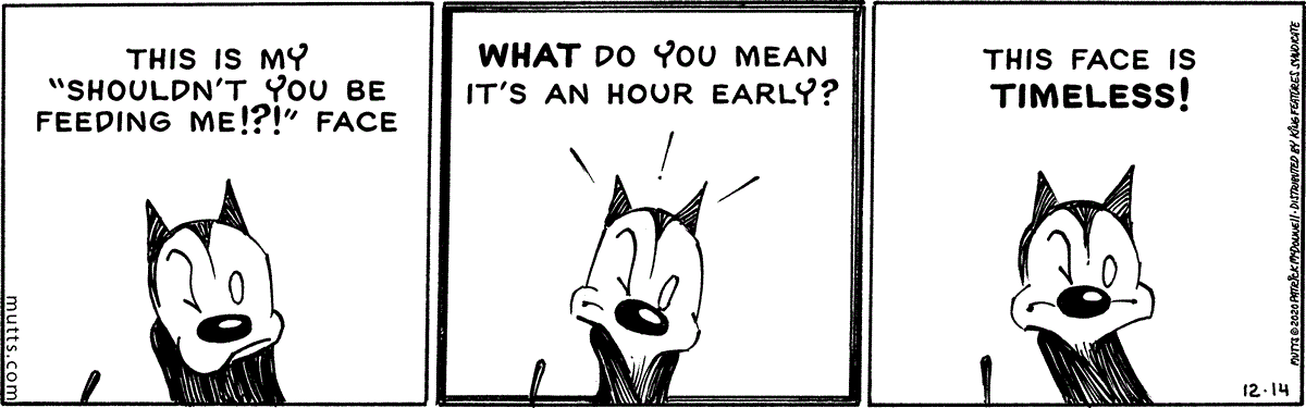 December 14 2020, Daily Comic Strip