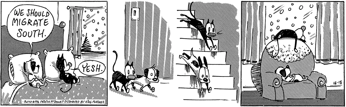 December 15 1995, Daily Comic Strip