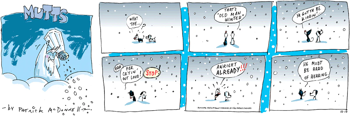 December 15 1996, Sunday Comic Strip