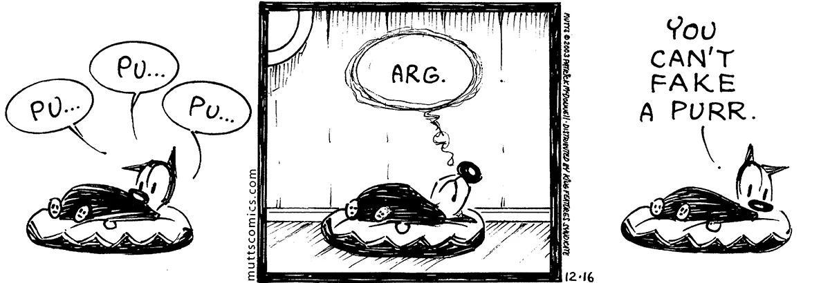 December 16 2003, Daily Comic Strip