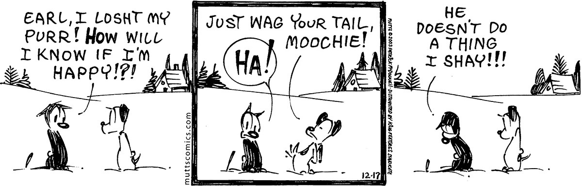 December 17 2003, Daily Comic Strip