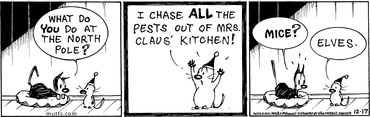 December 17 2021, Daily Comic Strip