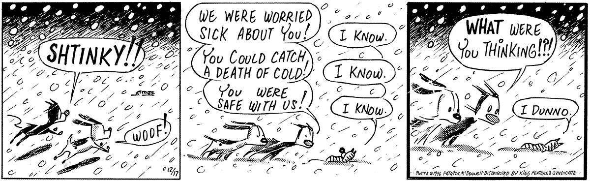 December 17 1996, Daily Comic Strip