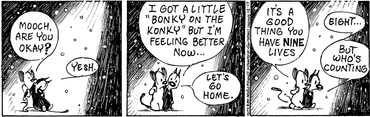 December 17 1999, Daily Comic Strip