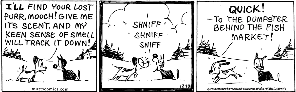 December 18 2003, Daily Comic Strip