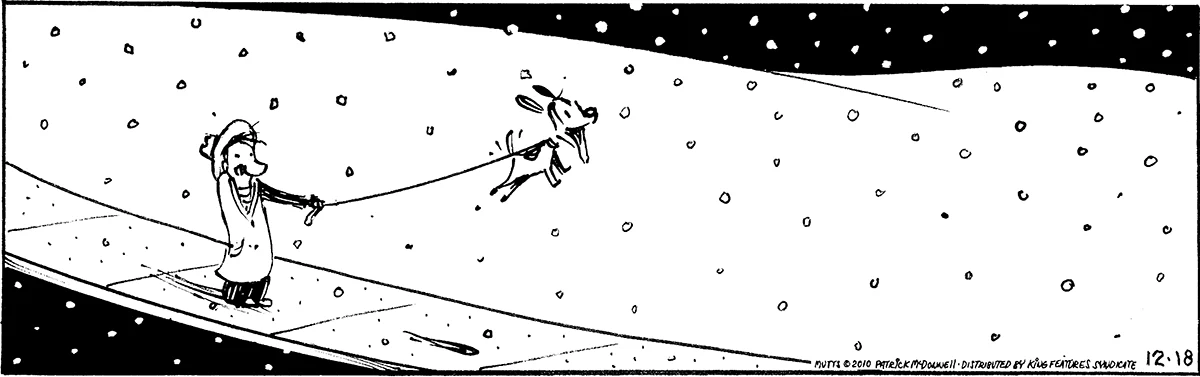 December 18 2010, Daily Comic Strip