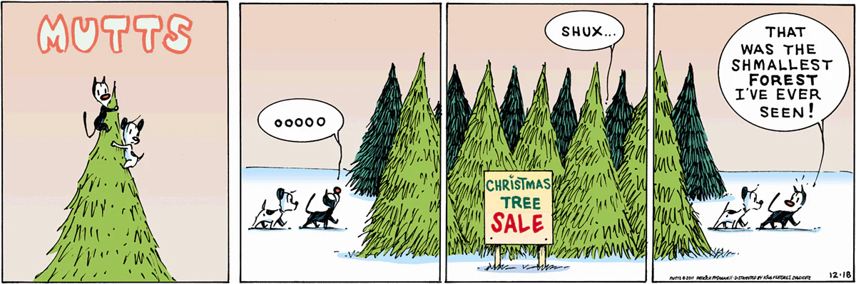 December 18 2011, Sunday Comic Strip