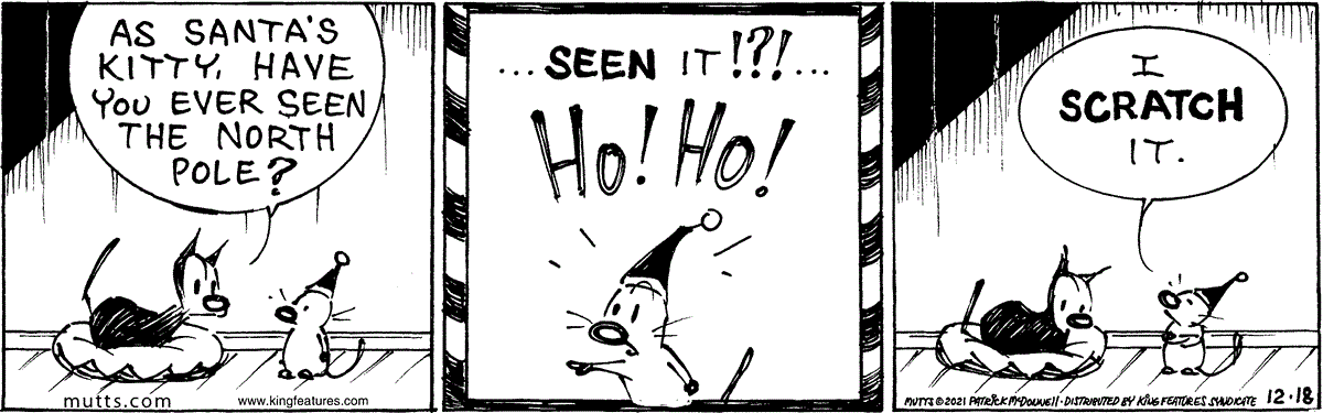 December 18 2021, Daily Comic Strip