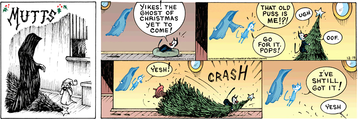 December 19 2010, Sunday Comic Strip