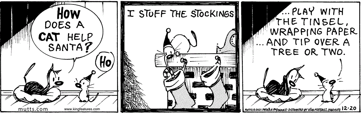 December 20 2021, Daily Comic Strip