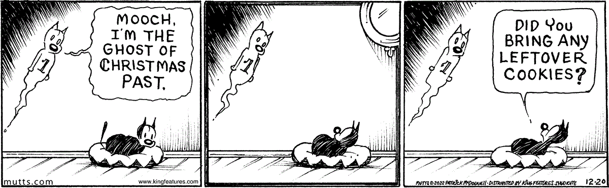 December 20 2022, Daily Comic Strip