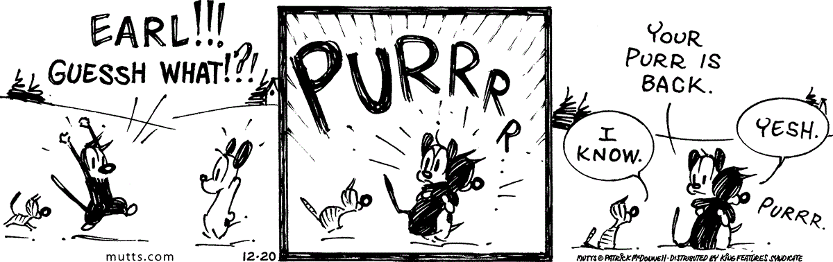 December 20 2024, Daily Comic Strip