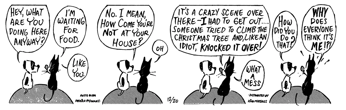 December 20 1994, Daily Comic Strip
