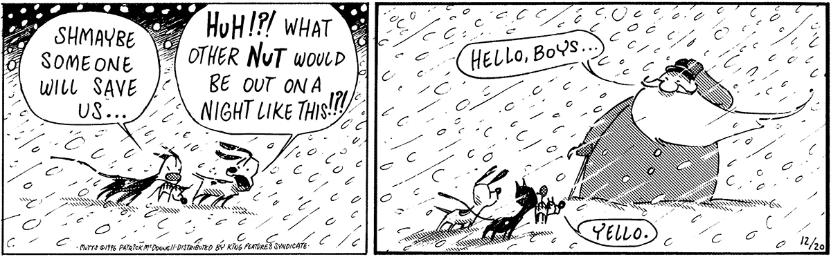 December 20 1996, Daily Comic Strip