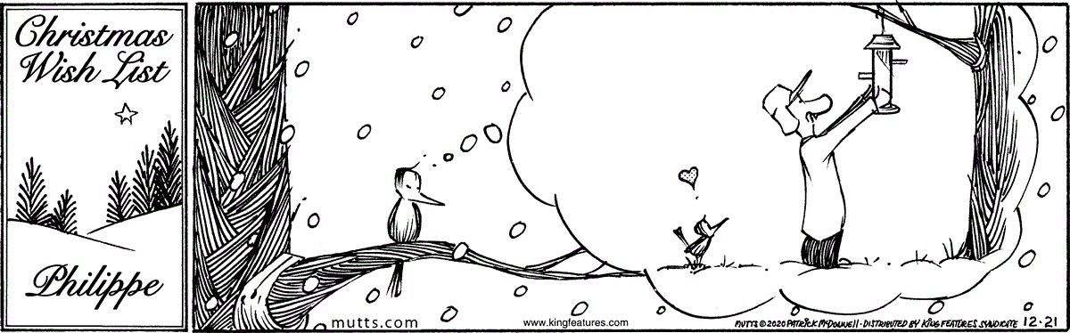 December 21 2020, Daily Comic Strip