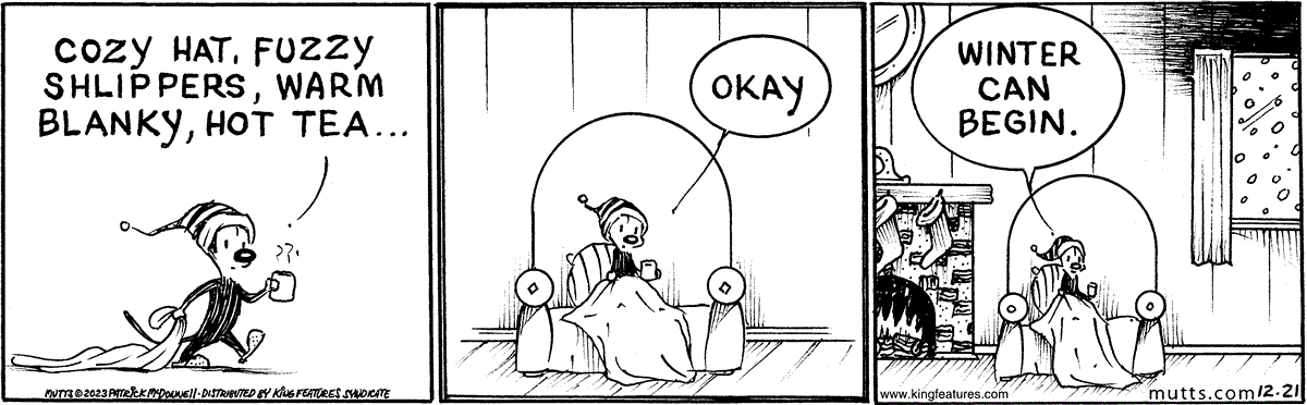 December 21 2023, Daily Comic Strip