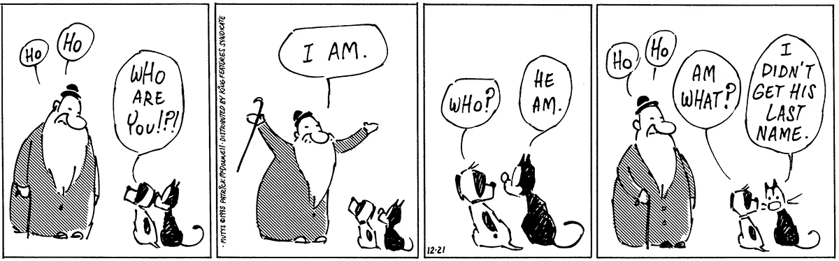 December 21 1995, Daily Comic Strip