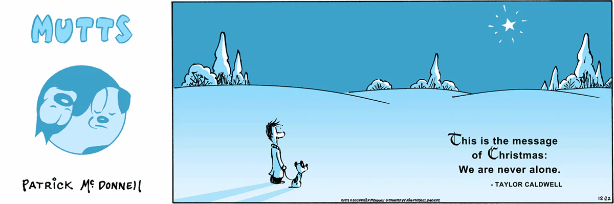 December 22 2013, Sunday Comic Strip