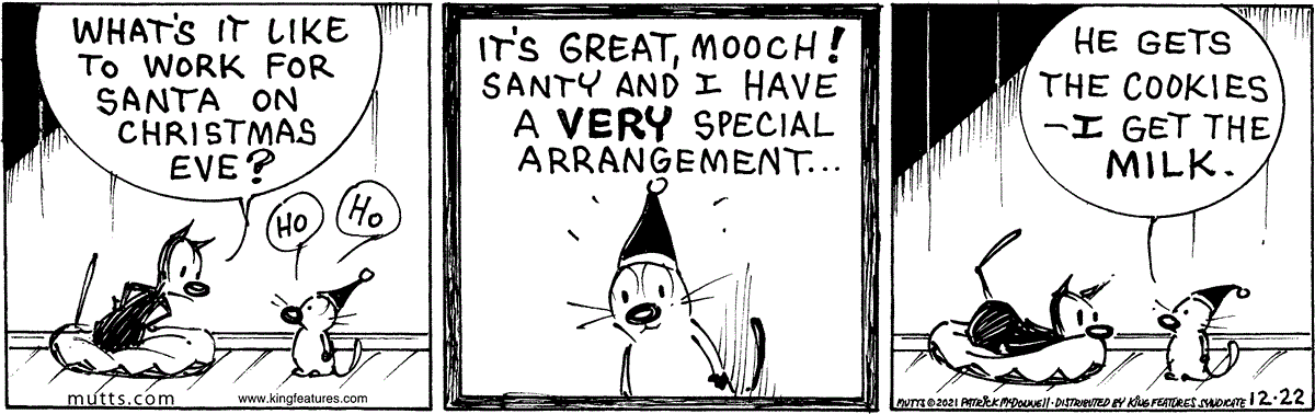 December 22 2021, Daily Comic Strip