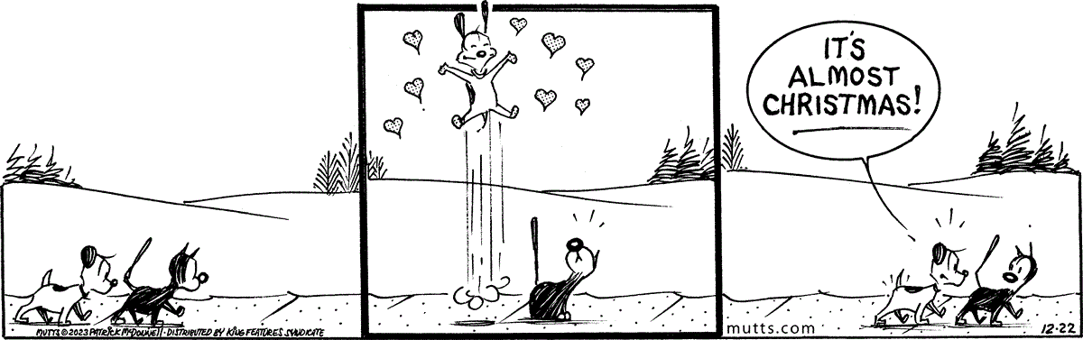 December 22 2023, Daily Comic Strip