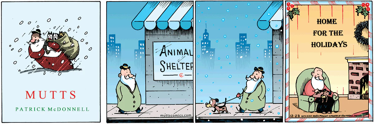 December 23 2012, Sunday Comic Strip