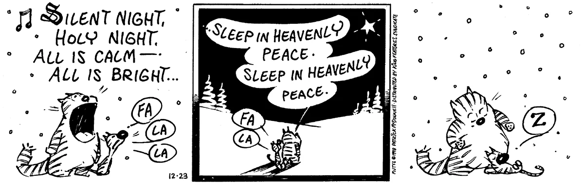 December 23 1998, Daily Comic Strip