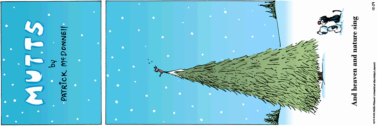 December 24 2006, Sunday Comic Strip