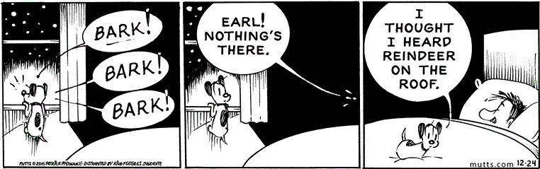 December 24 2016, Daily Comic Strip