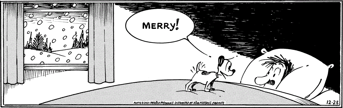 December 25 2021, Daily Comic Strip