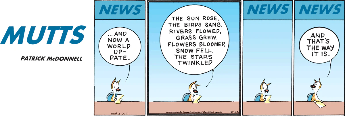 December 26 2021, Sunday Comic Strip