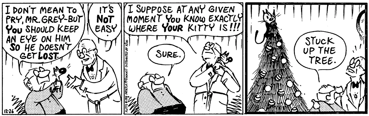 December 26 1998, Daily Comic Strip