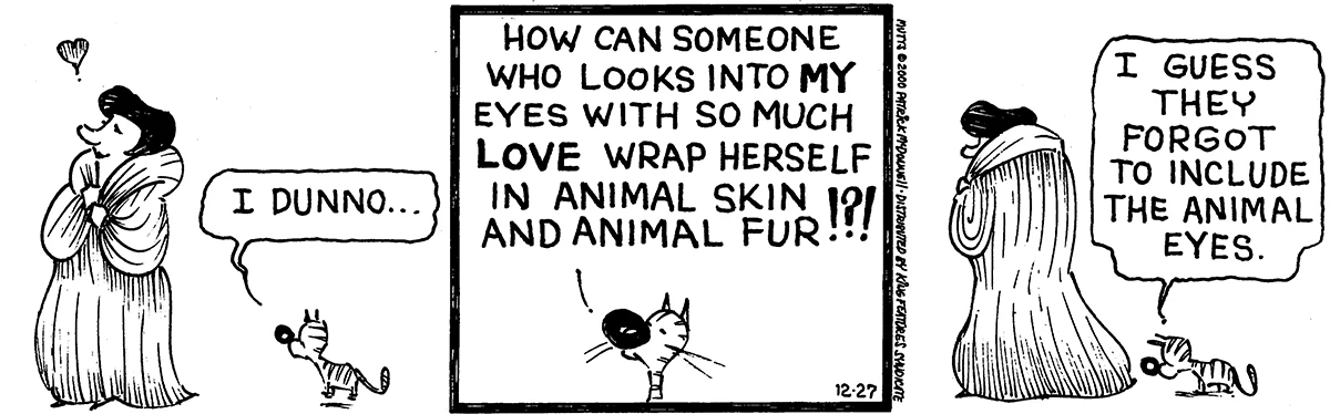 December 27 2000, Daily Comic Strip