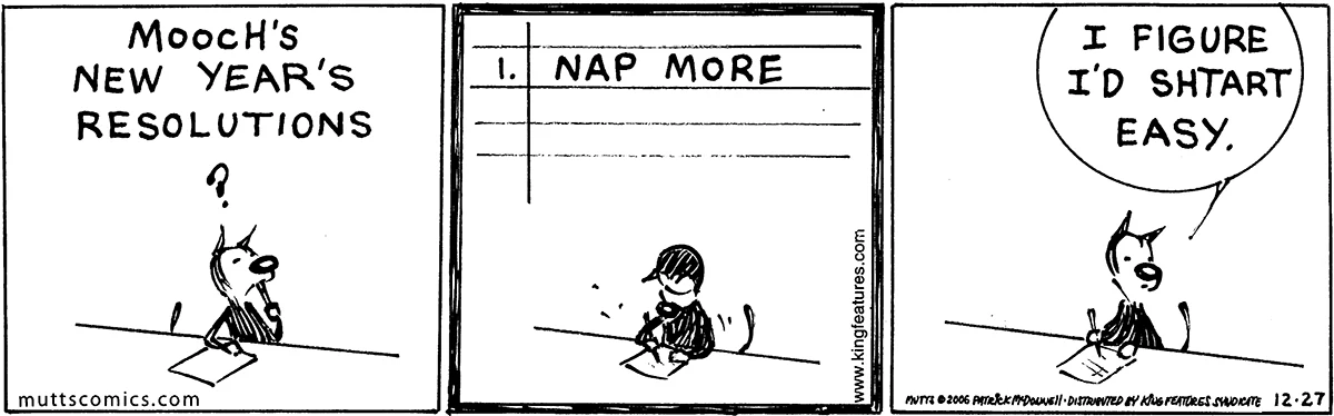 December 27 2006, Daily Comic Strip
