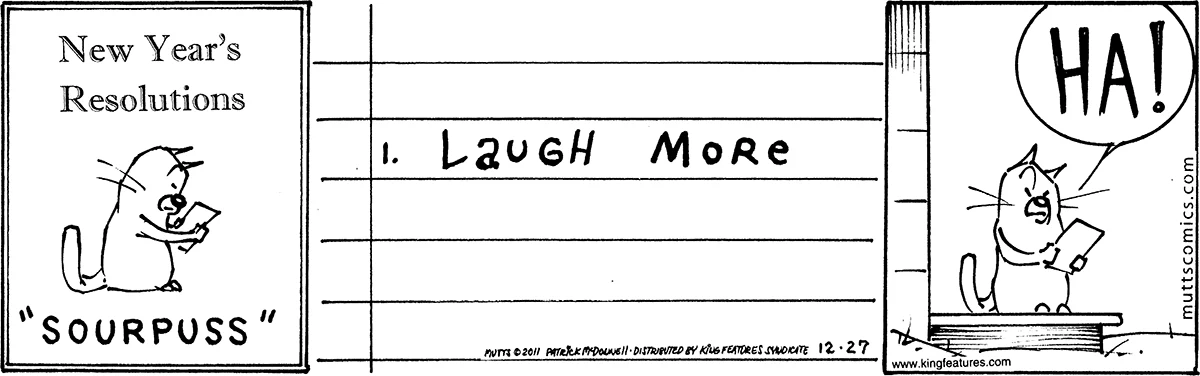 December 27 2011, Daily Comic Strip