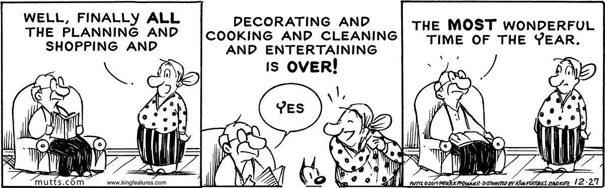 December 27 2019, Daily Comic Strip