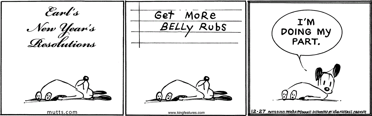 December 27 2021, Daily Comic Strip