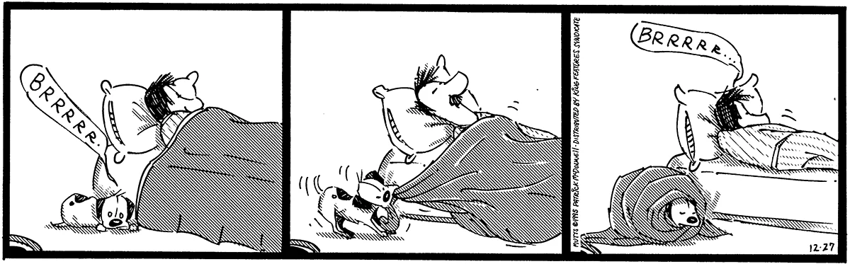 December 27 1995, Daily Comic Strip