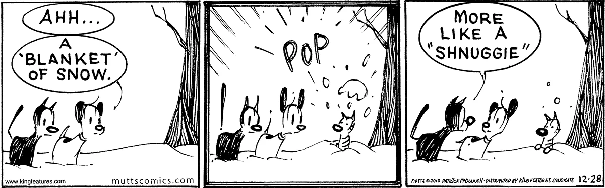 December 28 2010, Daily Comic Strip
