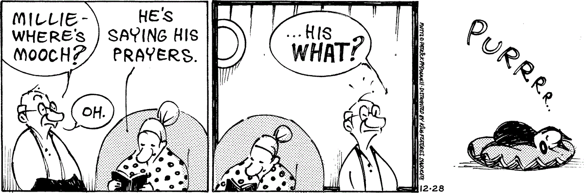 December 28 2024, Daily Comic Strip