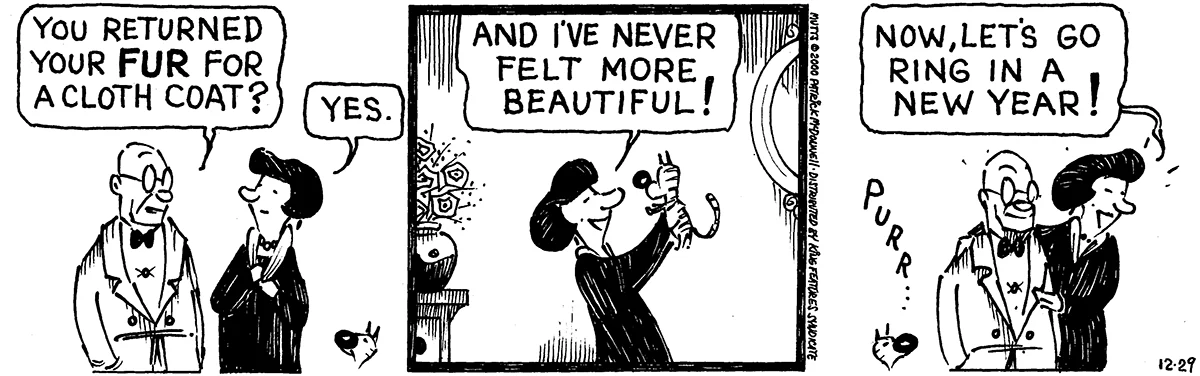 December 29 2000, Daily Comic Strip