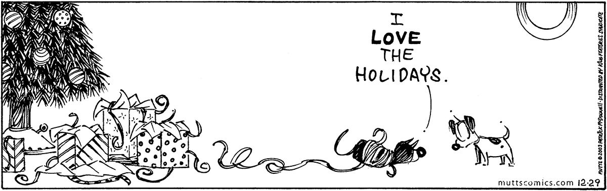 December 29 2003, Daily Comic Strip