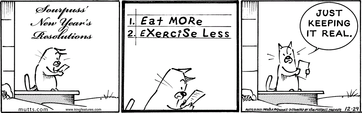 December 29 2021, Daily Comic Strip
