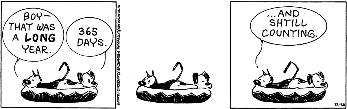 December 30 2000, Daily Comic Strip