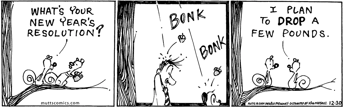 December 30 2004, Daily Comic Strip
