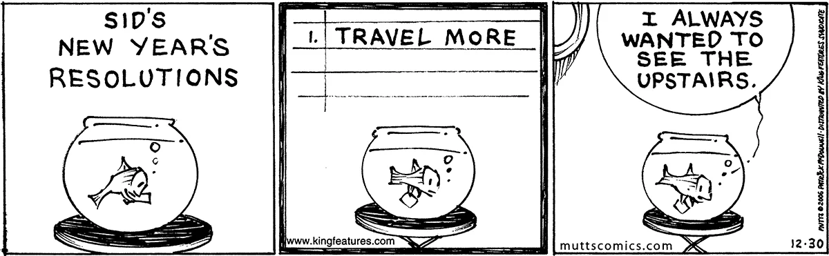 December 30 2006, Daily Comic Strip