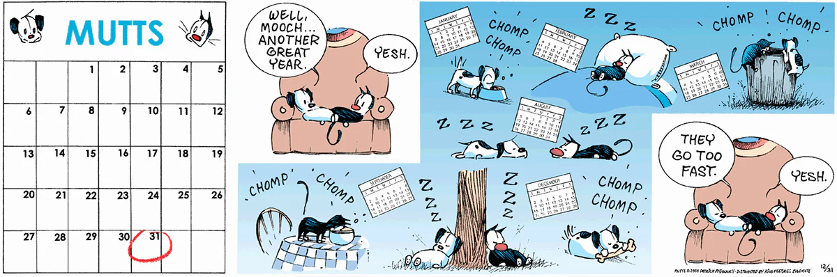 December 31 2000, Sunday Comic Strip